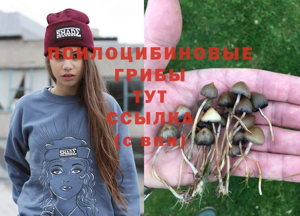 mdma Нефтекумск