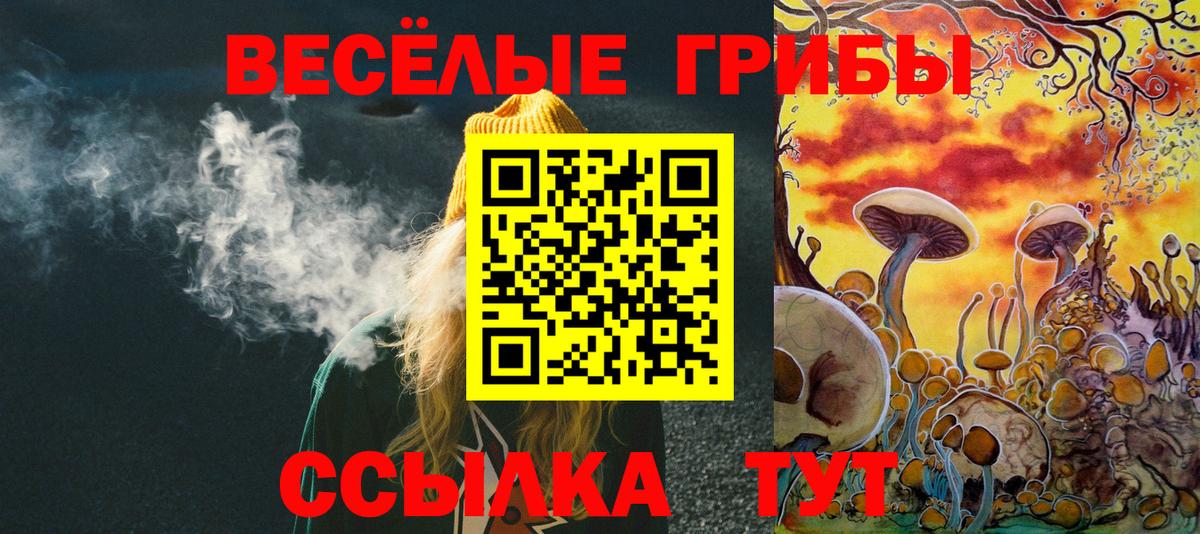 Родники  Галлюциногенные грибы Cubensis  Вход с VPN 