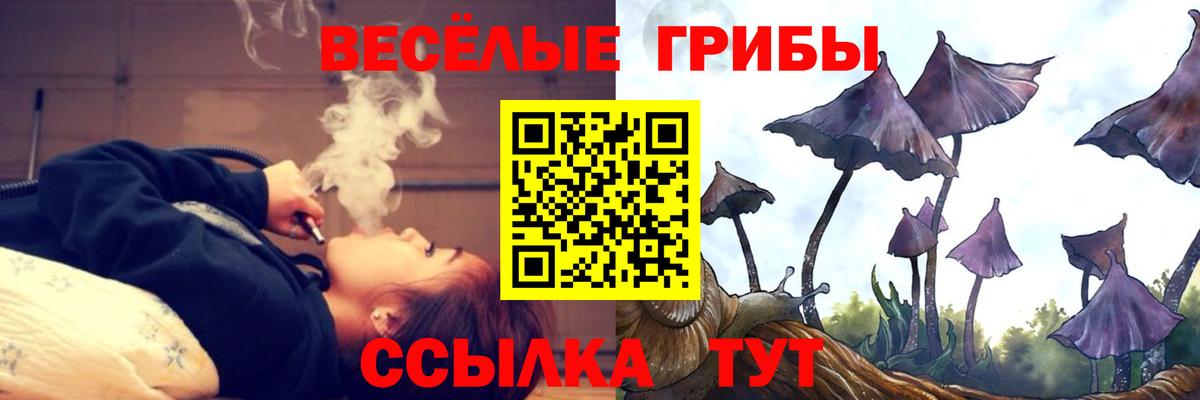 Псилоцибиновые грибы Psilocybine cubensis Родники